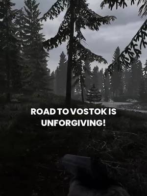 Road to Vostok is absolutely unforgiving! #RoadToVostok #GamingMoments #EpicFail #GameOn #IntenseGameplay