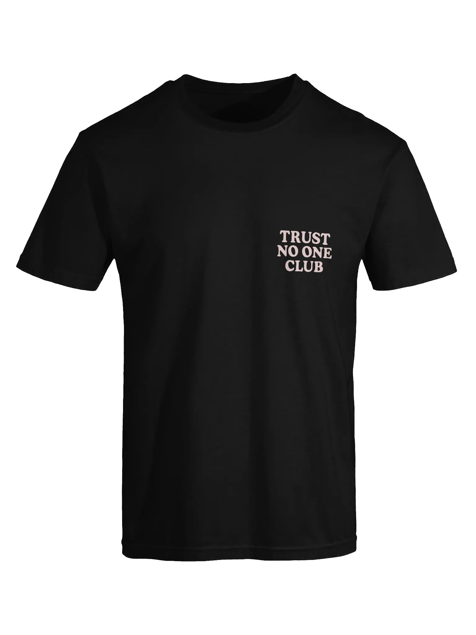TRUST NO ONE CLUB Heavyweight Tee product image (1)