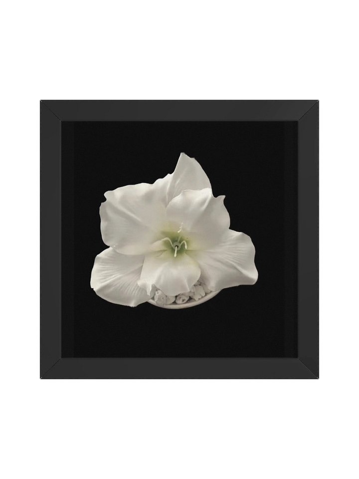 Purifying Flower product image (4)
