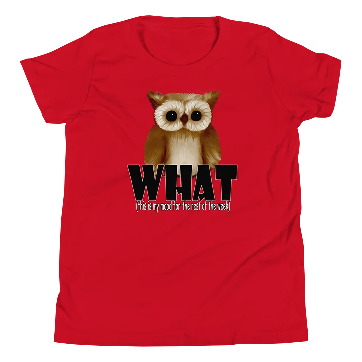 Youth Short Sleeve T-Shirt - Bella+Canvas product image (1)