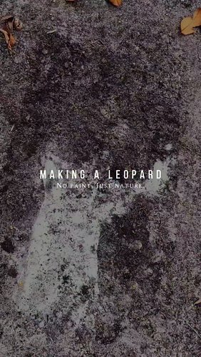 Making a Leopard 🐆🌿 No paint, just nature. #natureart #wildlifeartist #satisfyingart #timelapseart #artistsoﬁnstagram