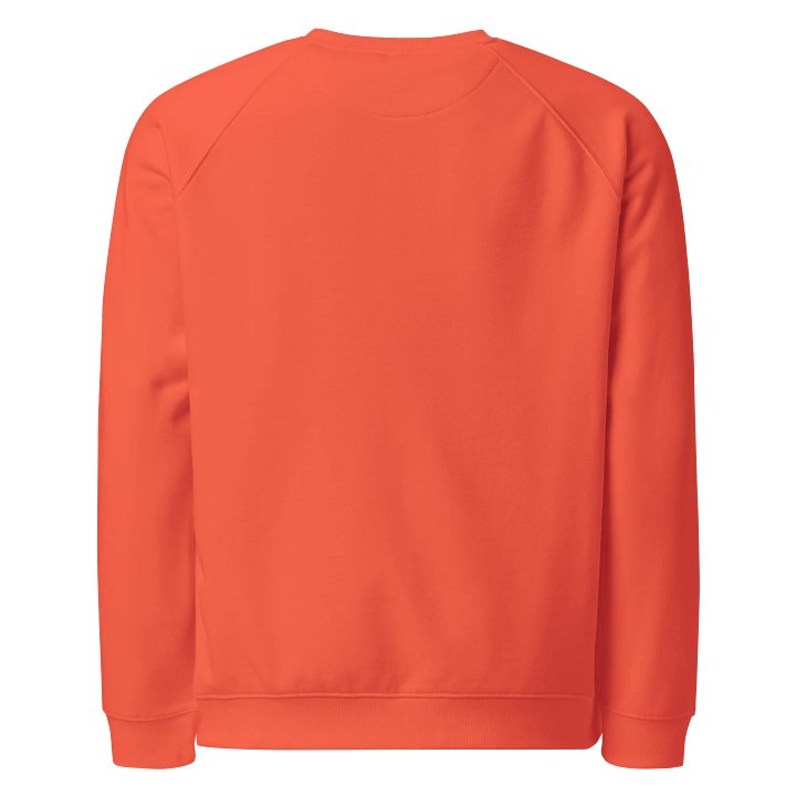 Traditional Relationship Power Organic Raglan Sweatshirt product image (2)