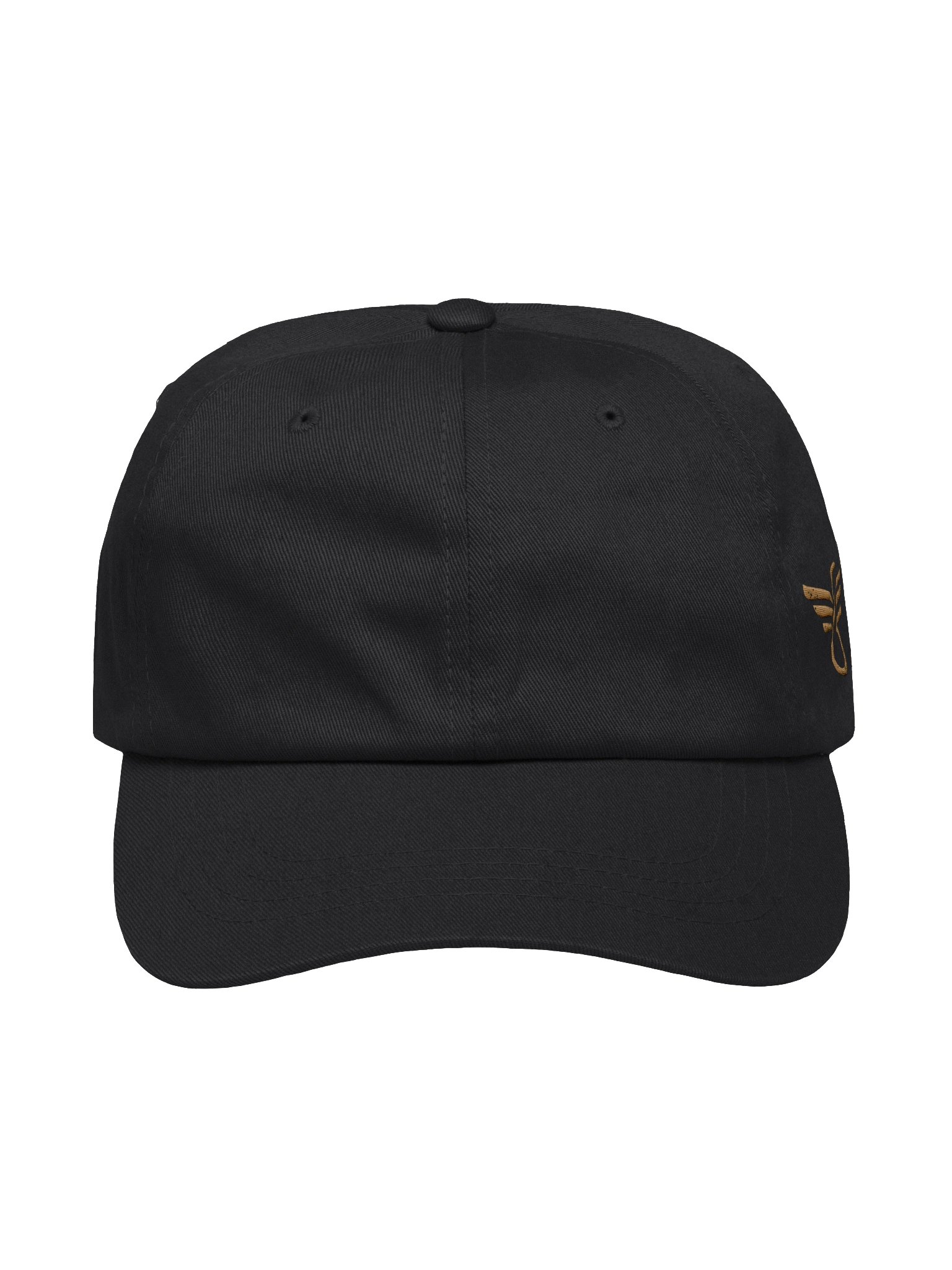 Wise Disciple Heritage Dad Hat product image (2)