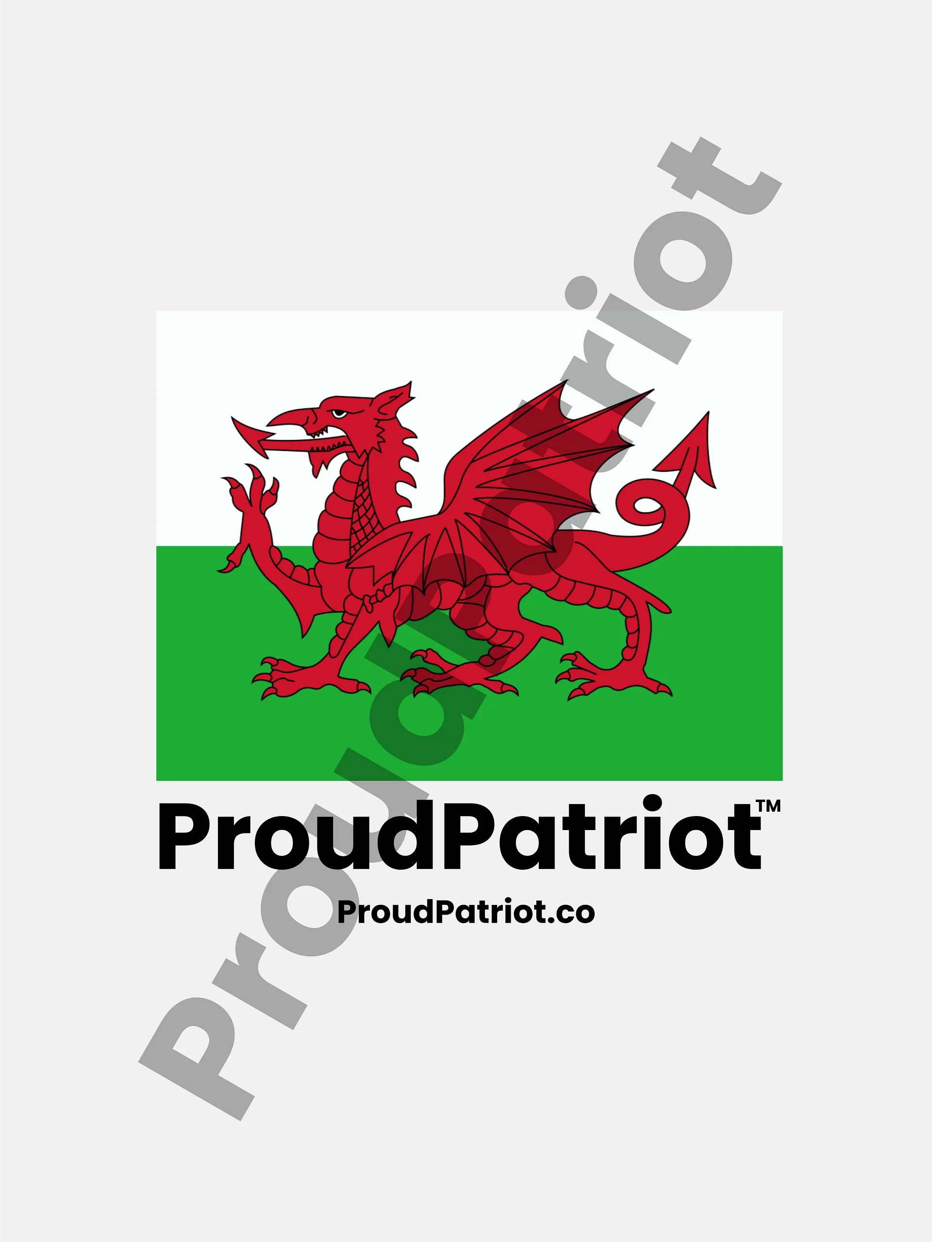 Wales Proud Screensaver product image (1)
