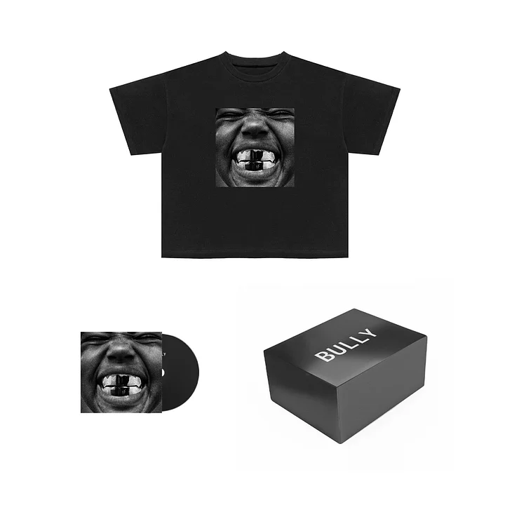 BULLY TS-O7 BOX product image (1)