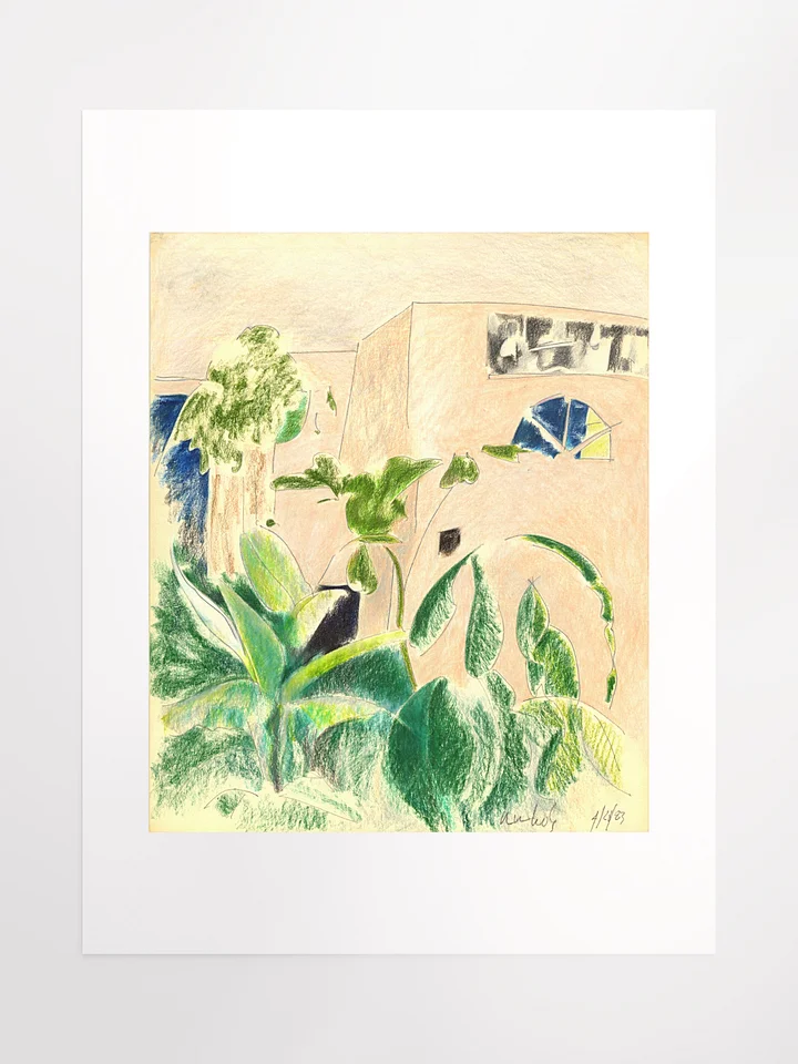 Plants & Windows (1010 home) 04.20.83 print product image (2)