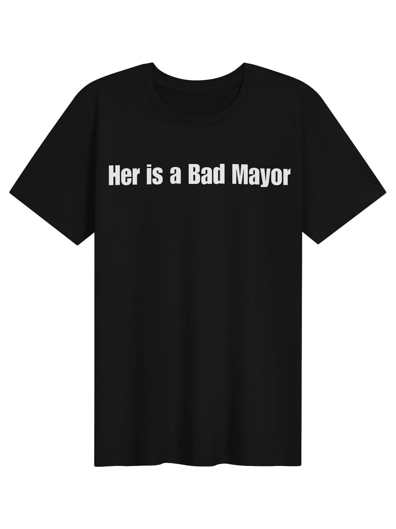 St. Paul's Mayor Problem product image (1)