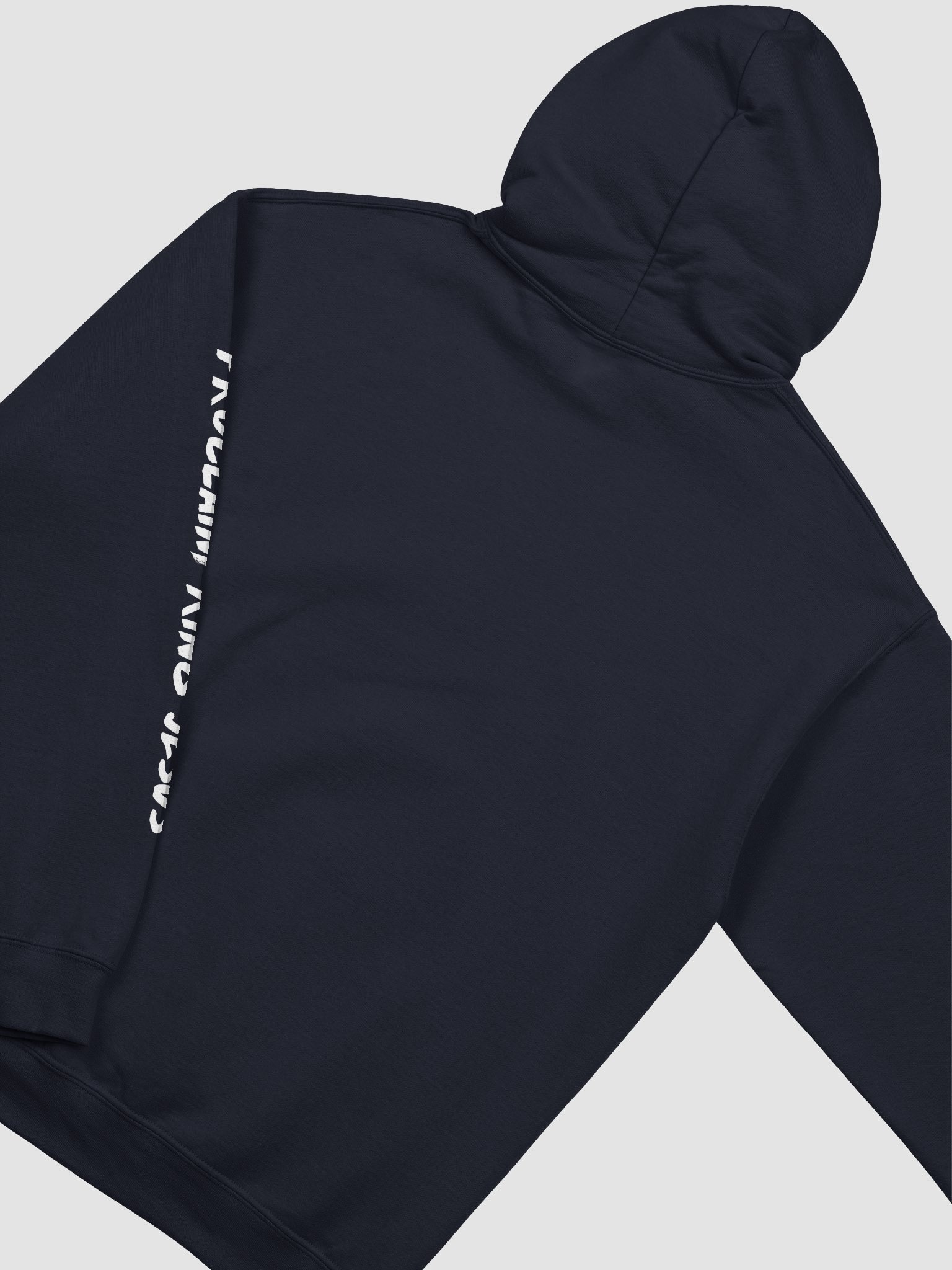 Jesus Hoodie (Various Colors) product image (4)