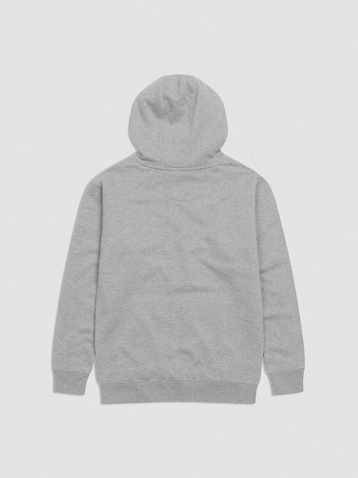 Bubbly and a B*tch (maroon bubble design) embroidered heavyweight hoodie product image (8)