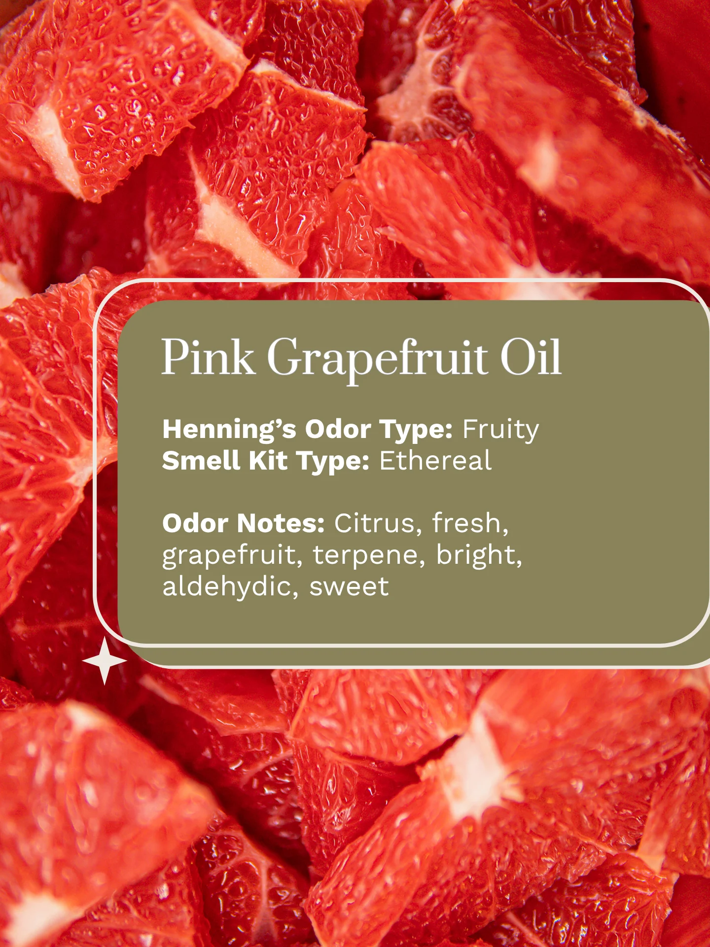 Olfaria Smell Training Kit | Set 3 | 5 Single-Note Essential Oils | Olfactory Training / Smell Loss product image (3)