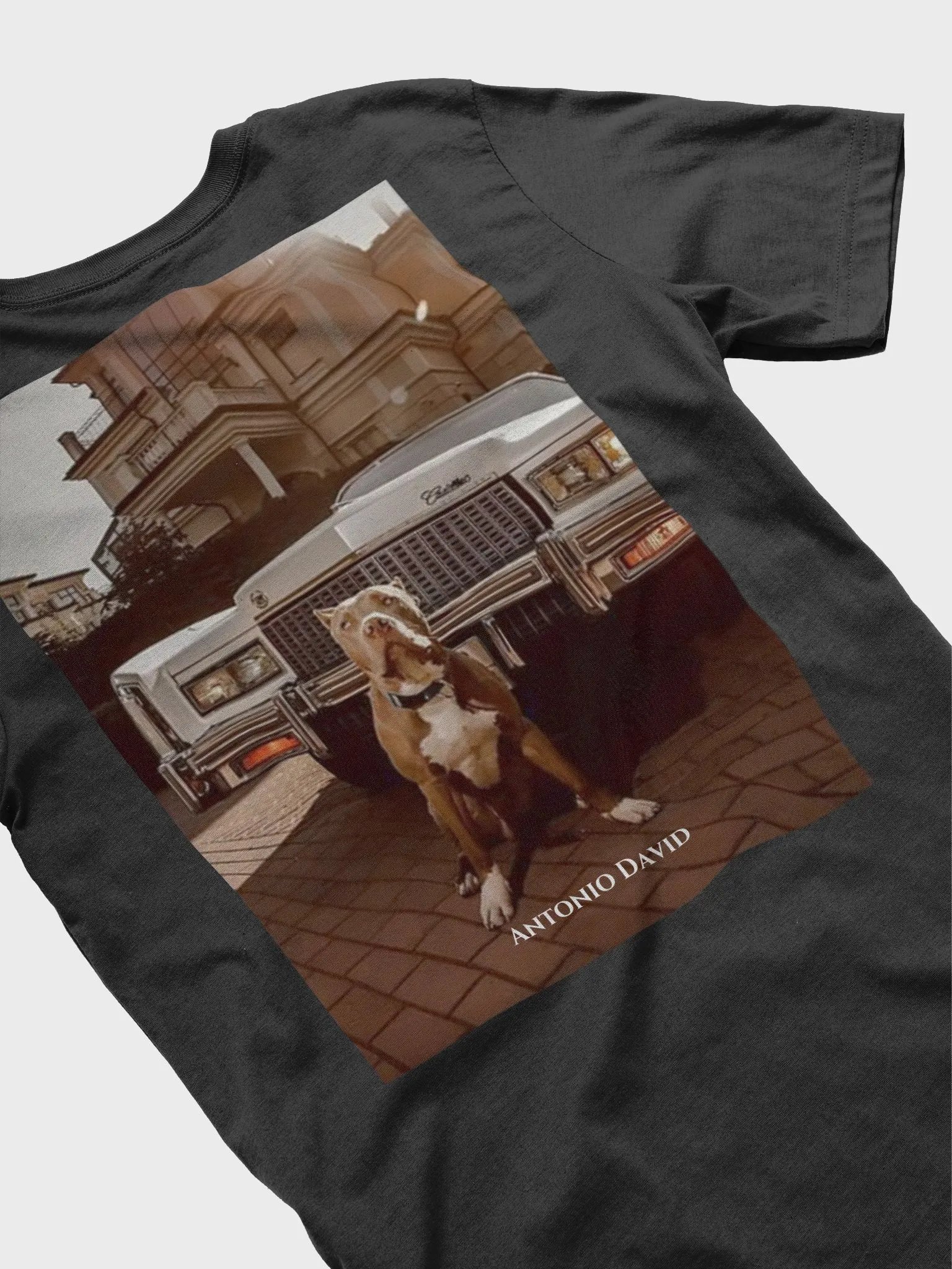 Staford T-Shirt product image (2)