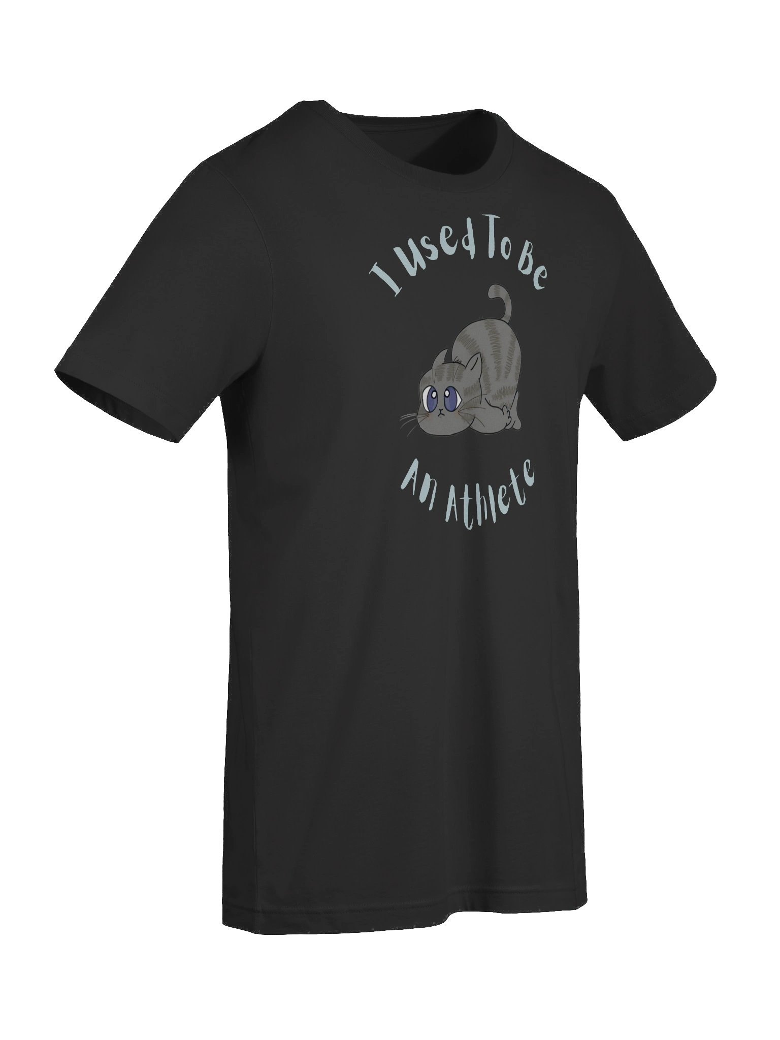 Chubby Cat Confession Tee product image (9)