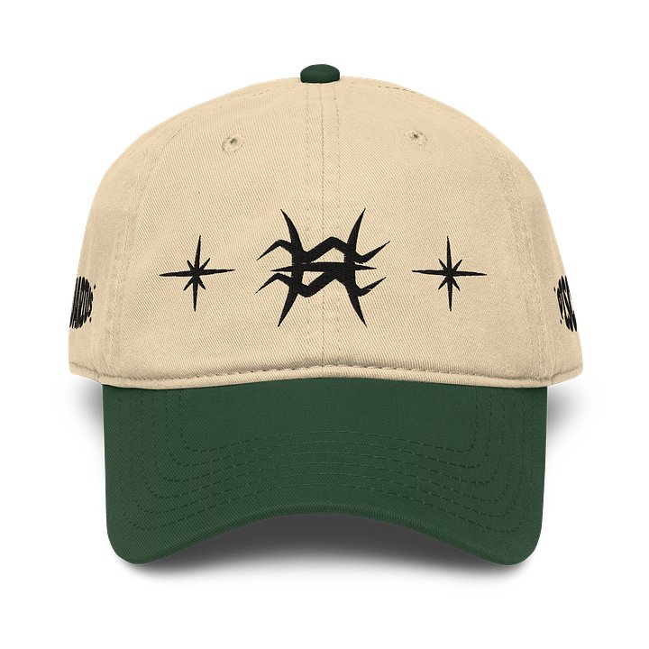 aquarius pisces cusp dad hat (black) product image (1)