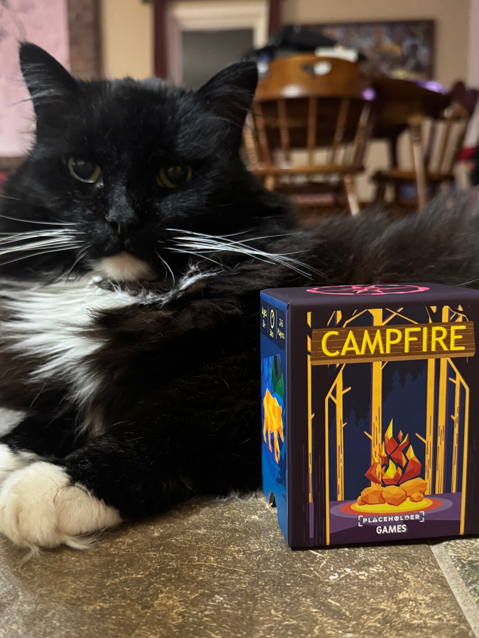 Campfire product image (3)