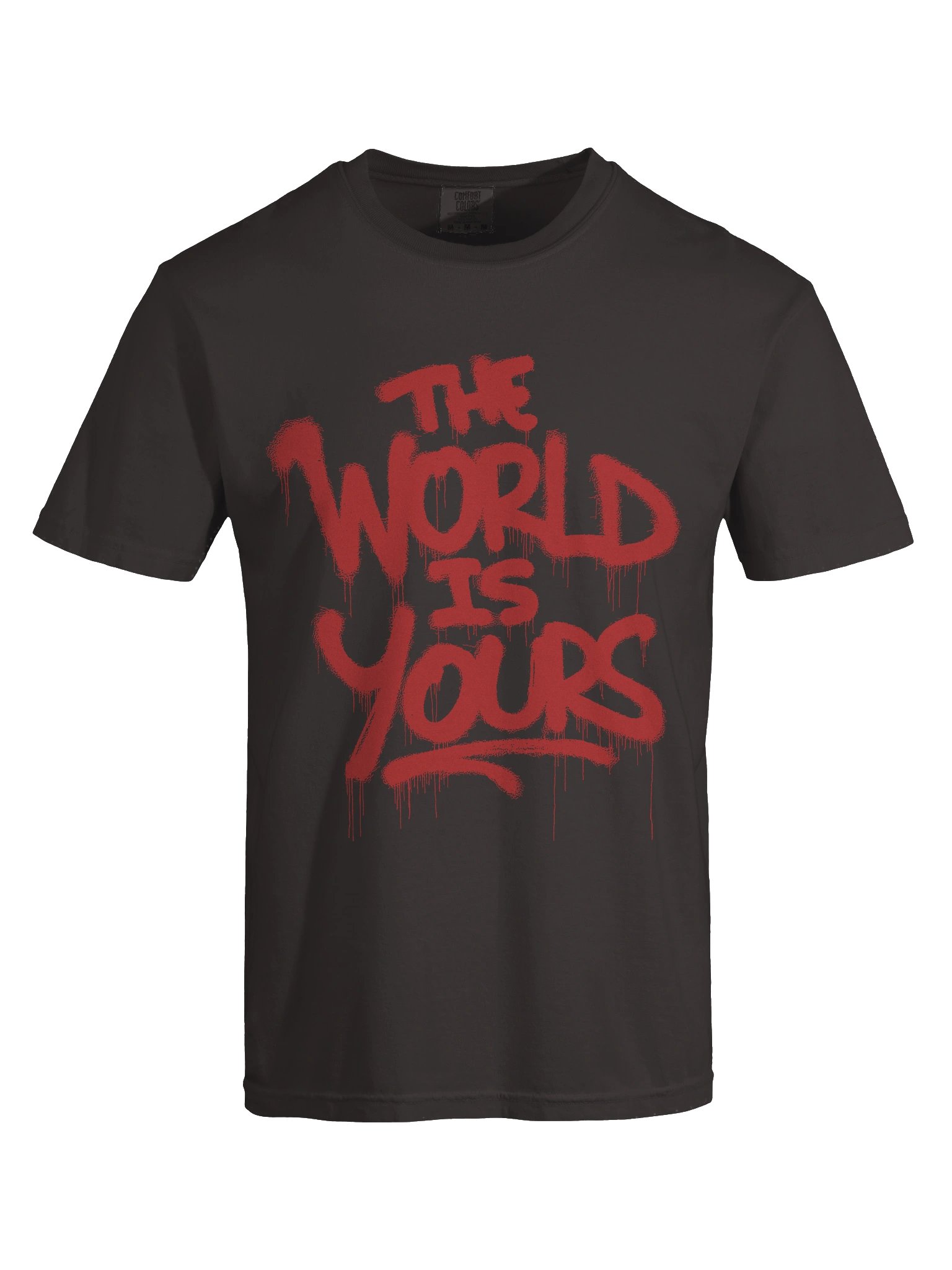 The World Is Yours Tee product image (7)