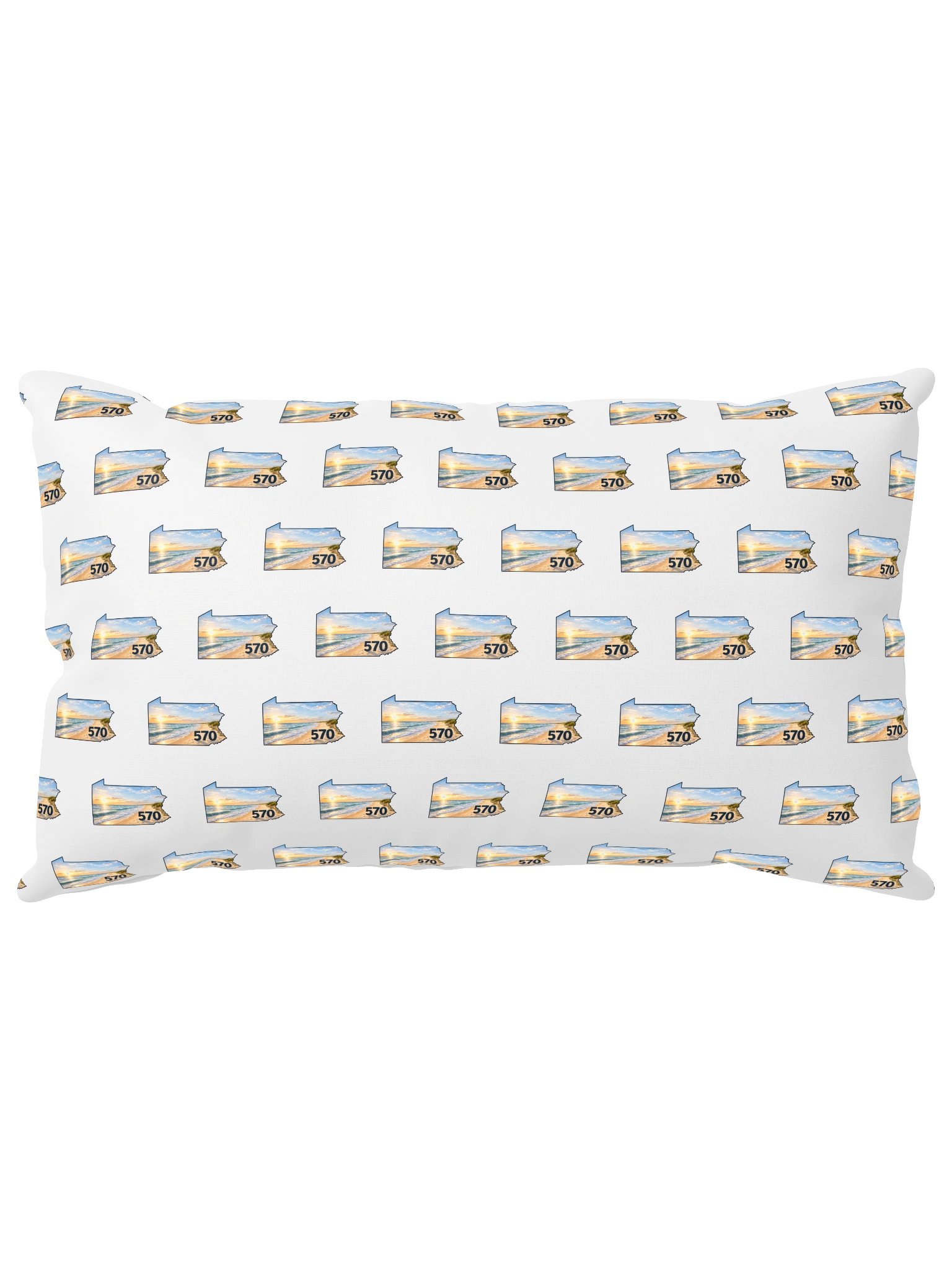 beachy570 pillow product image (14)