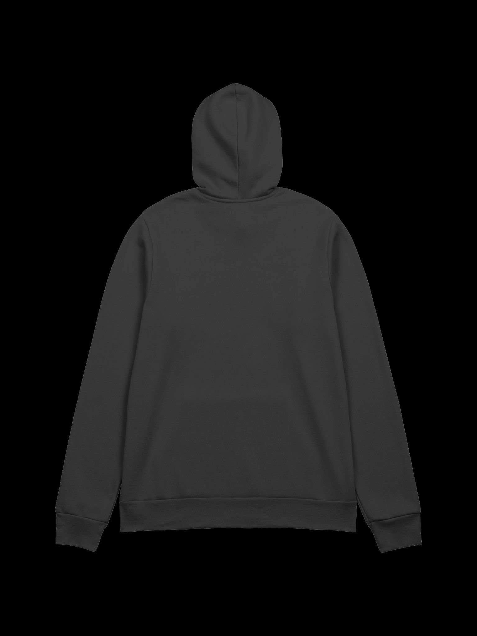 Pest Era Hoodie product image (4)