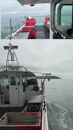 Dolphins sighted!