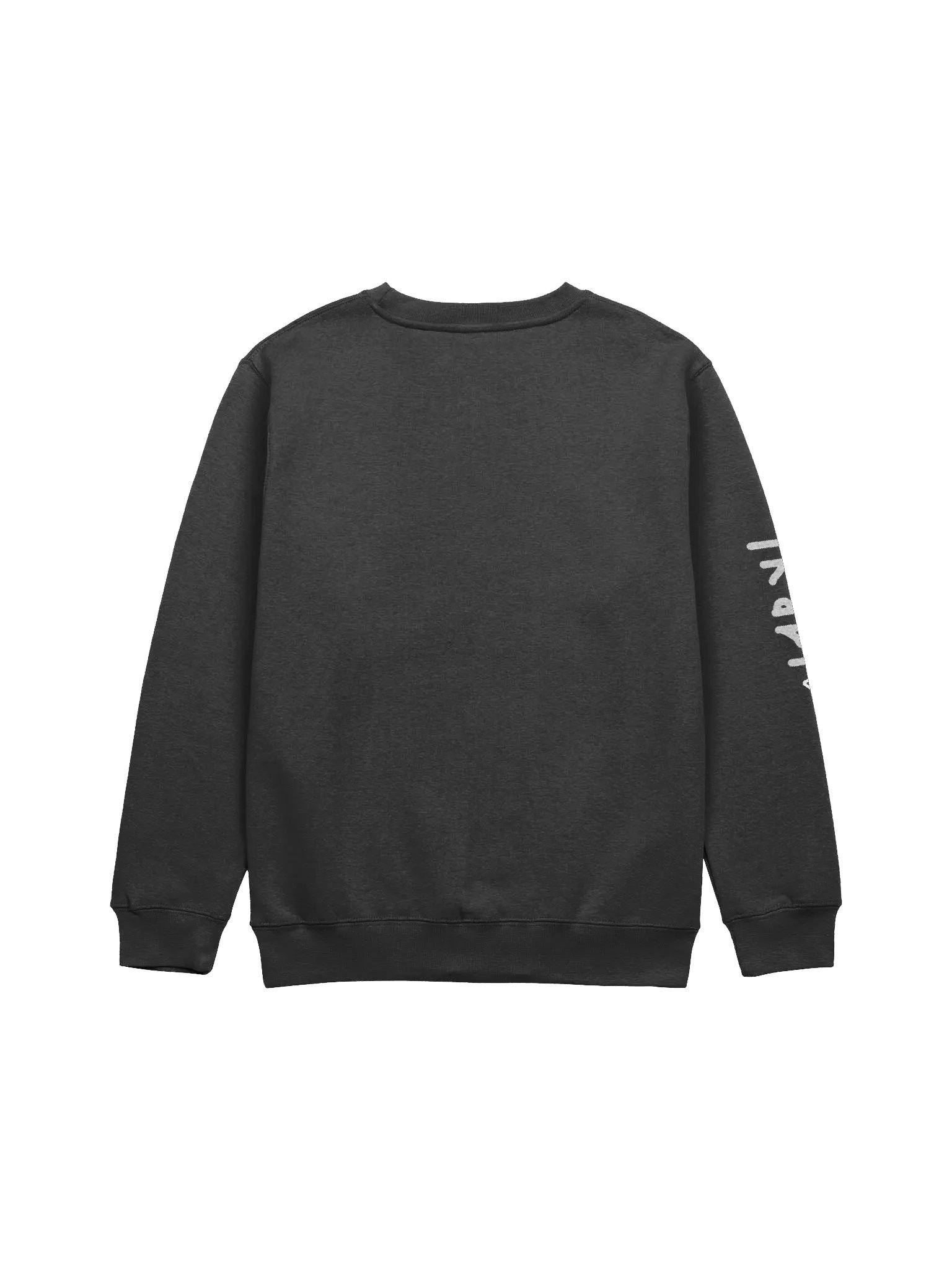 turtle cat — sweater product image (4)