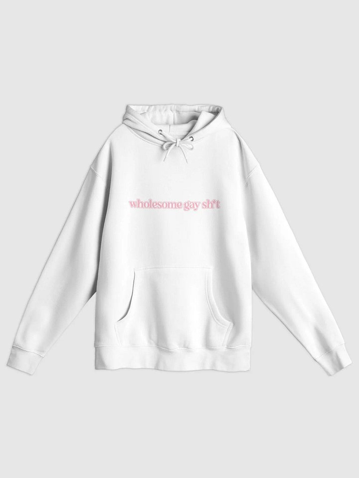 Wholesome Gay Hoodie product image (1)
