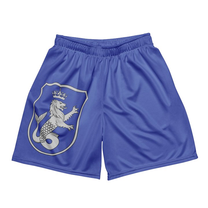 Court of Power Athletic Shorts product image (1)
