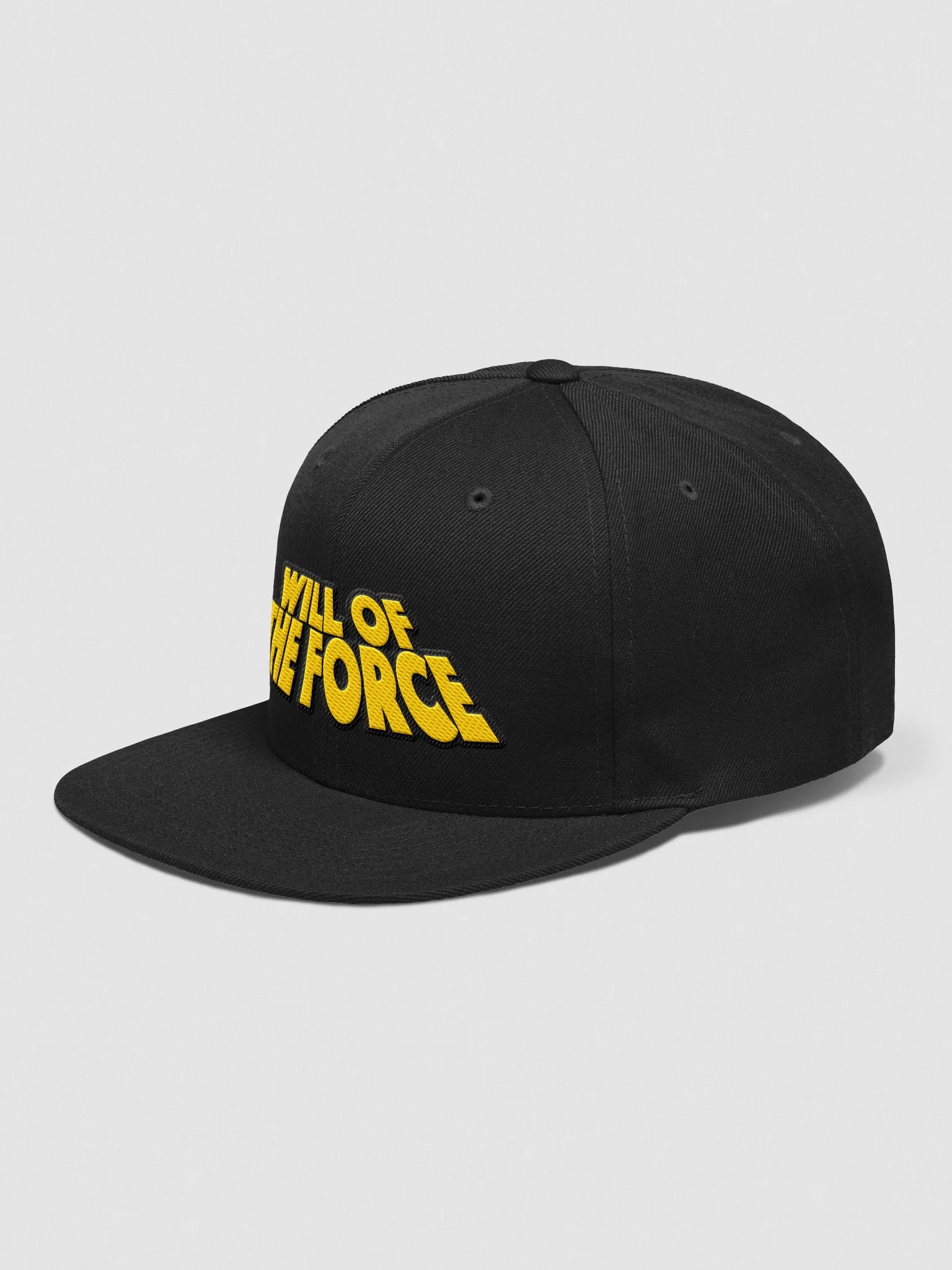 WoTF Basic Snapback product image (8)