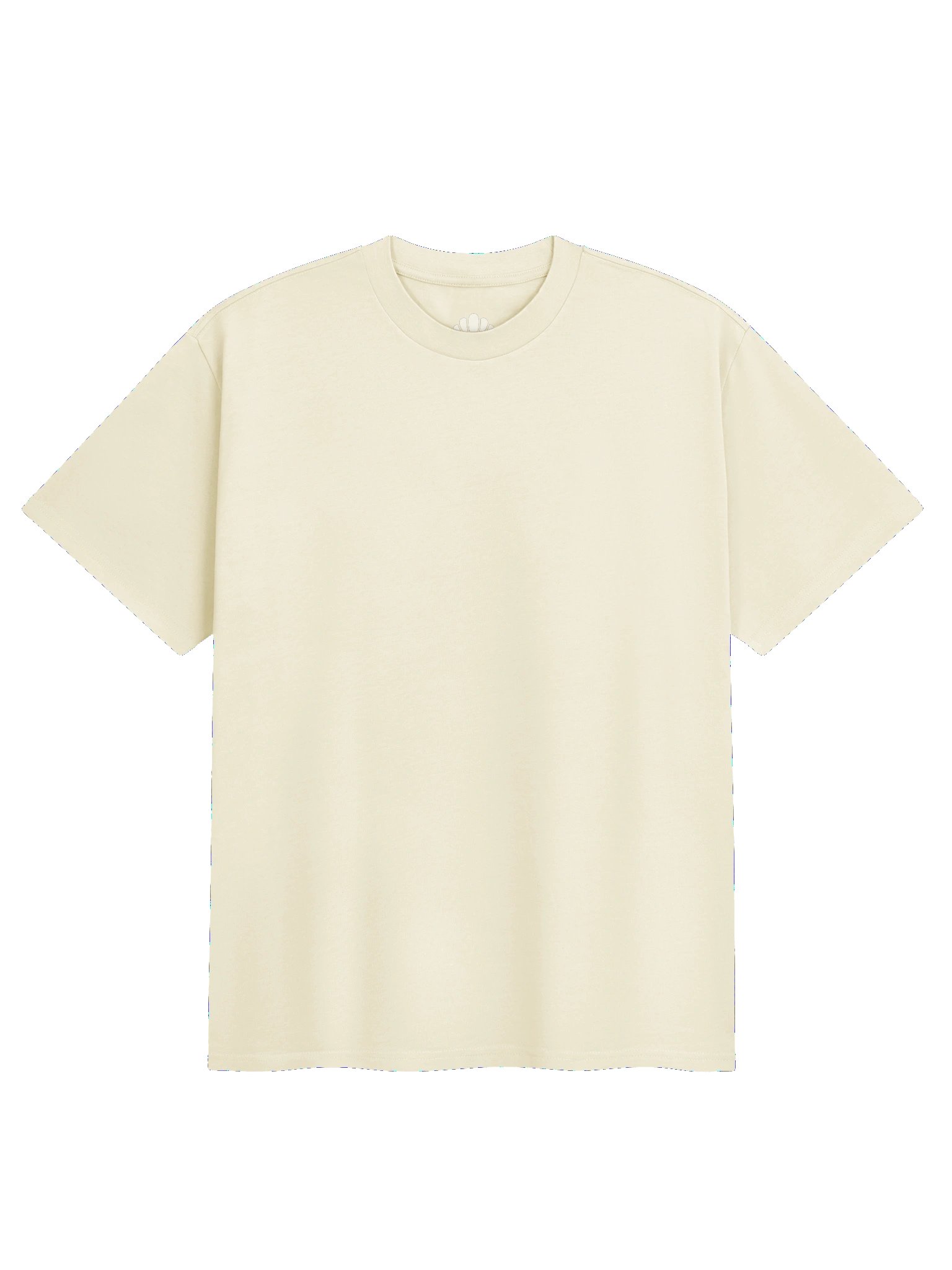 Privacy Is Normal Boxy Heavy Tee product image (9)