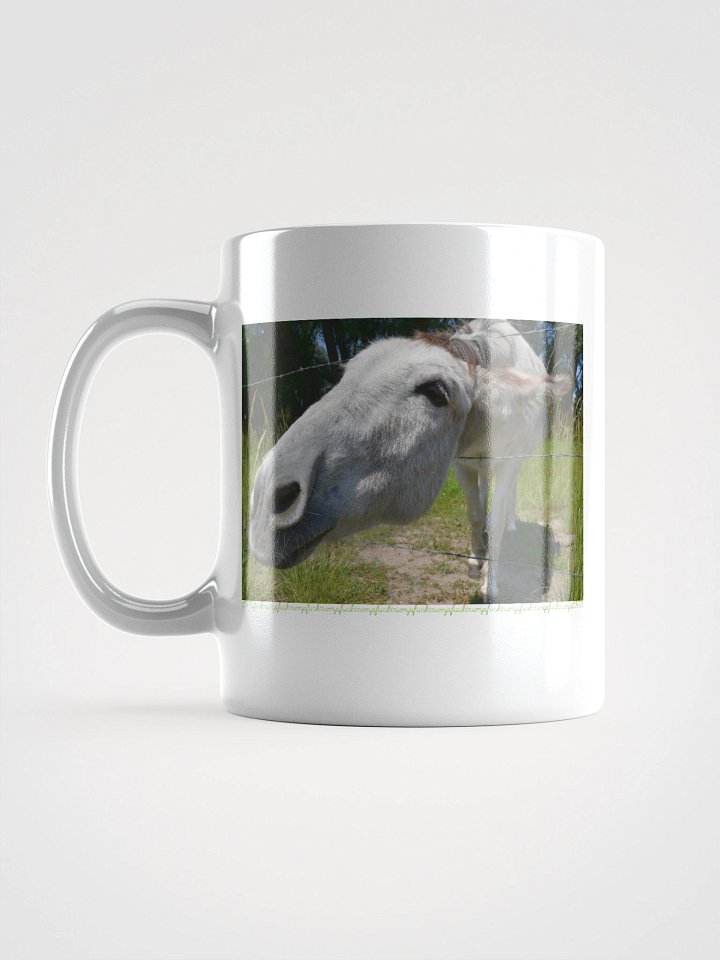 Donkey Says FT LKM Mug product image (1)