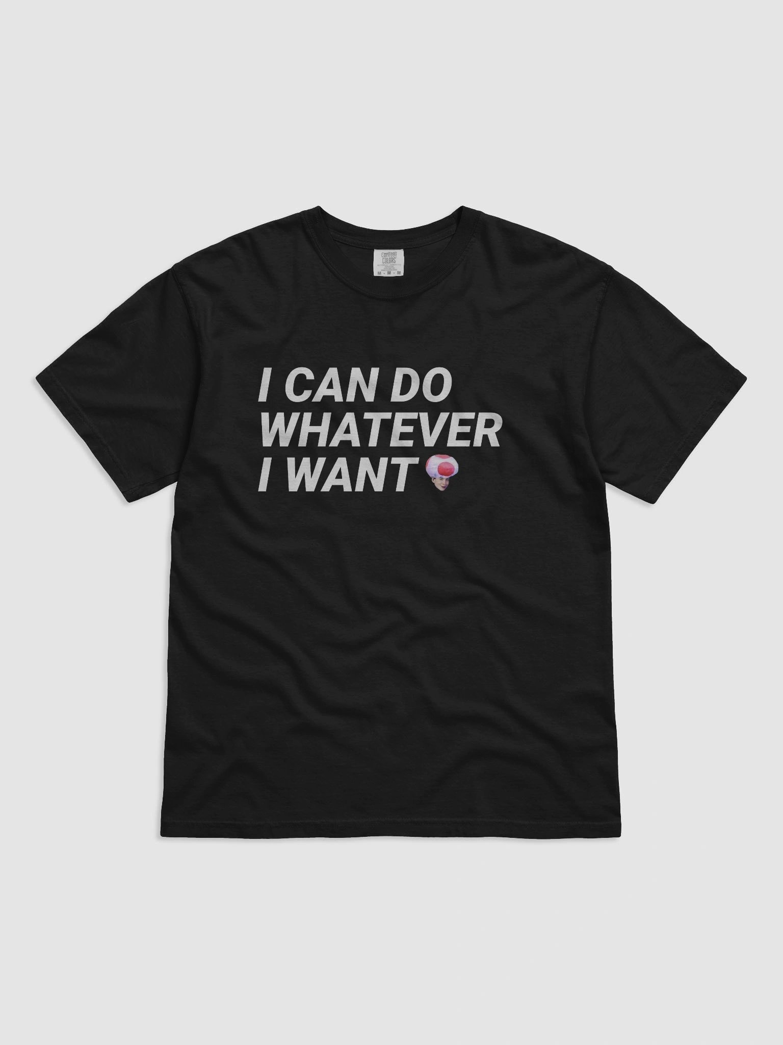 I CAN DO W.E I WANT SHIRT product image (5)