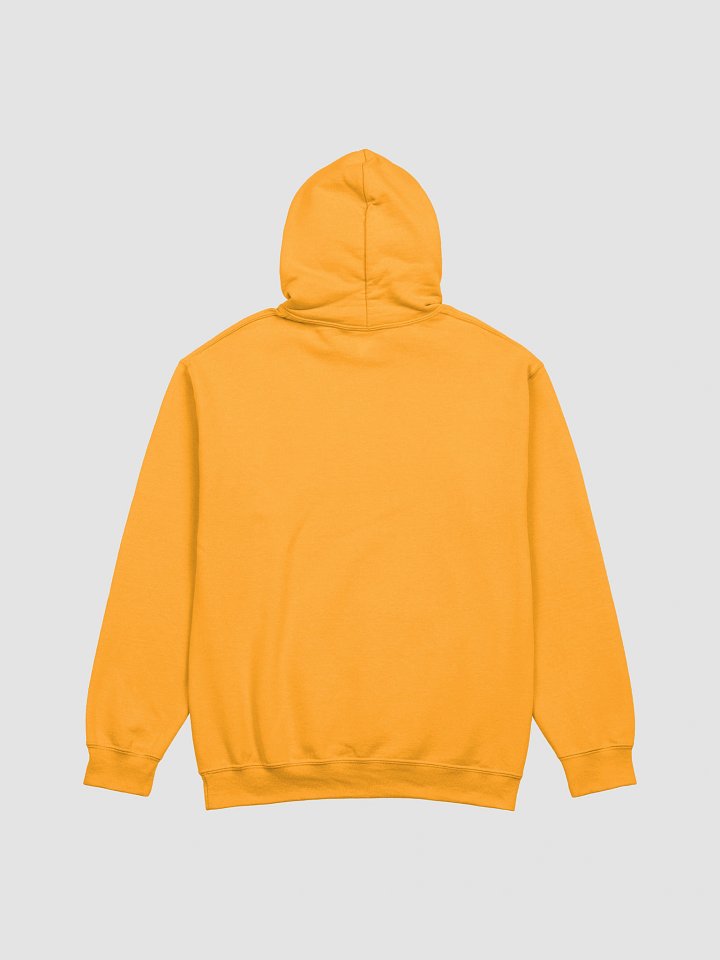 UFO Ultraconservative Family Hoodie product image (2)