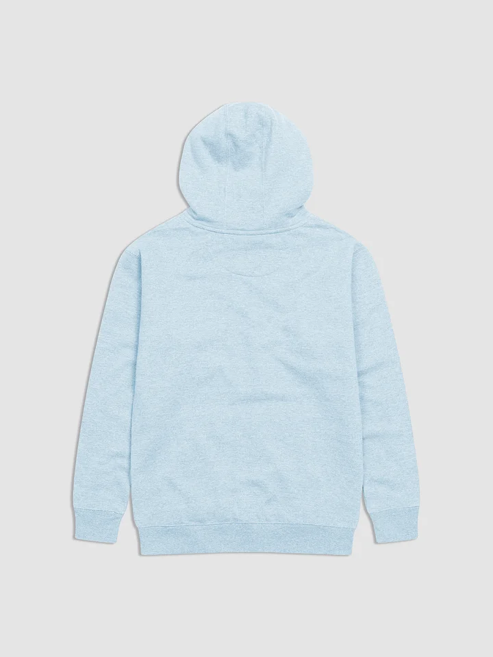 DMF House Hoodie product image (5)