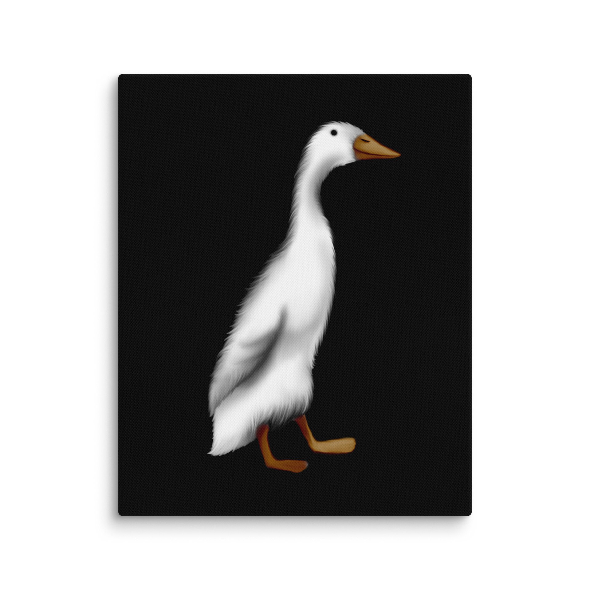 Canvas product image (1)