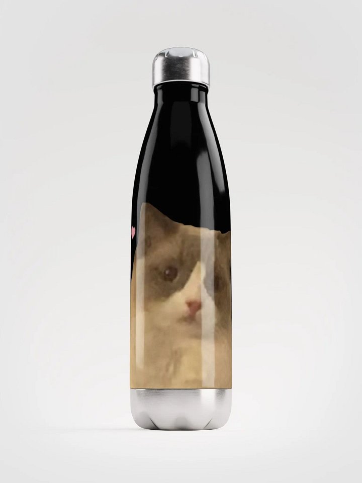 Maya Water Bottle product image (1)
