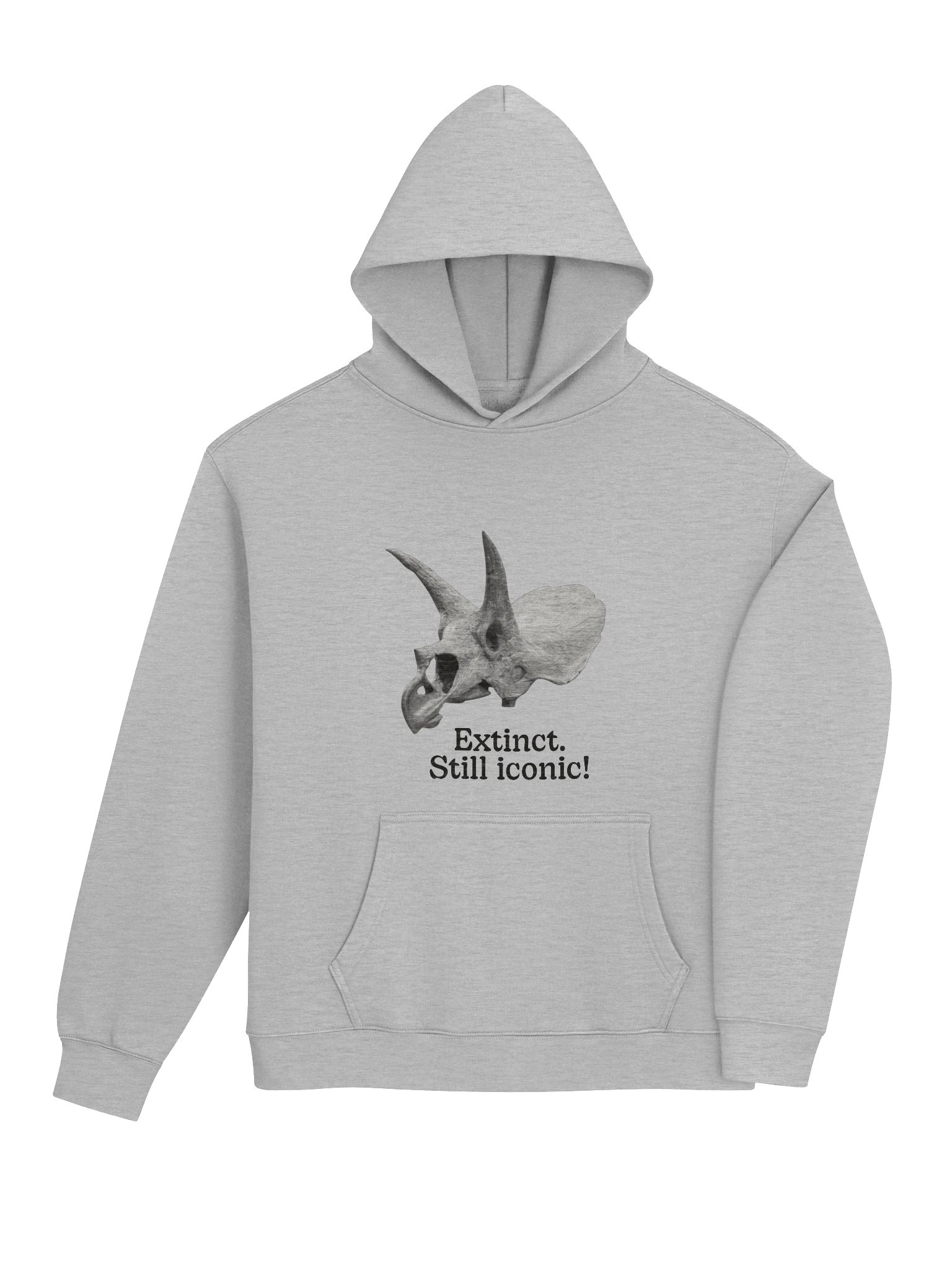 Dinosaur Hoodie – Extinct Still Iconic | Oversized Unisex Hoodie Gift product image (4)