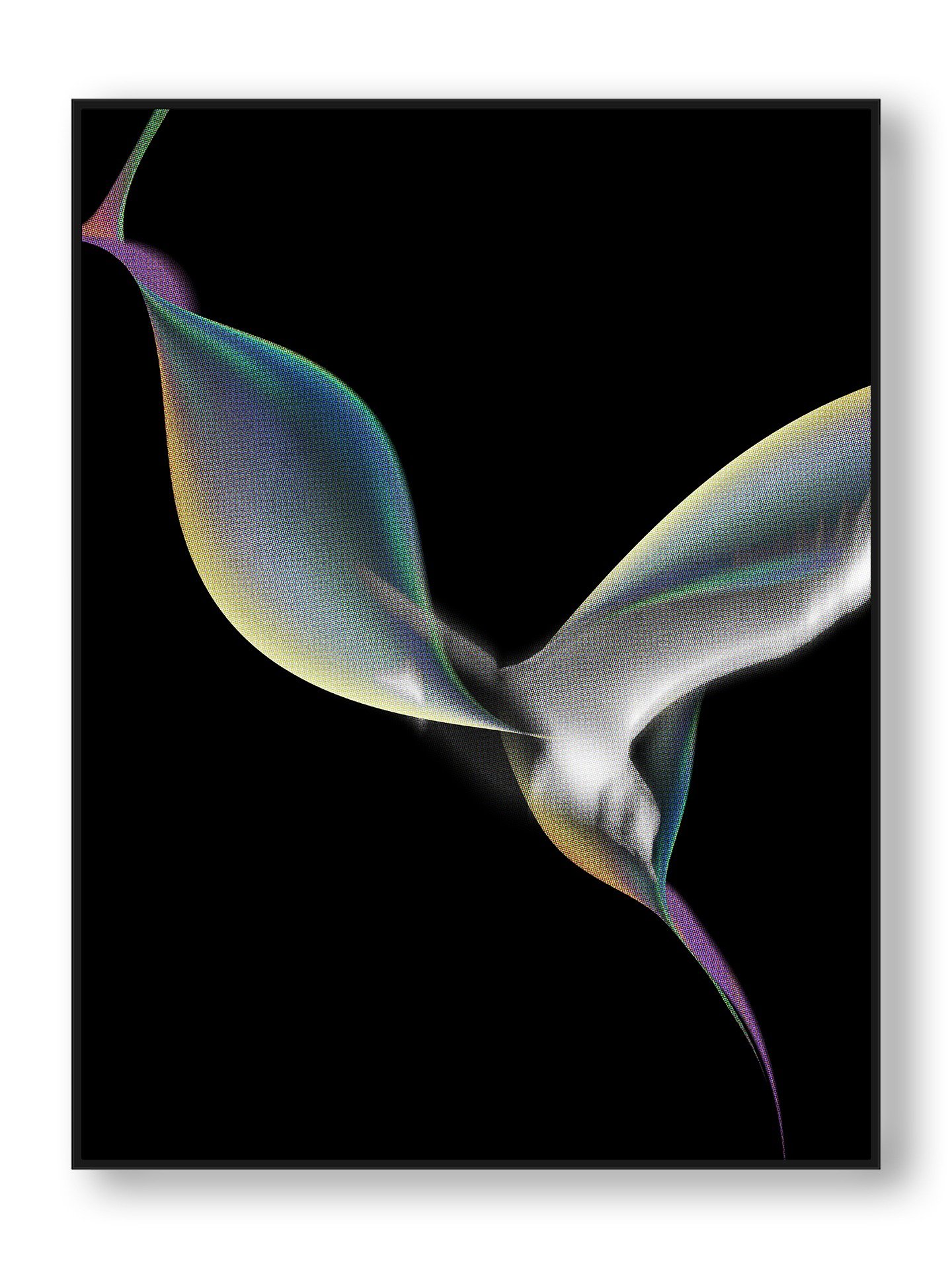 The Baptism product image (9)