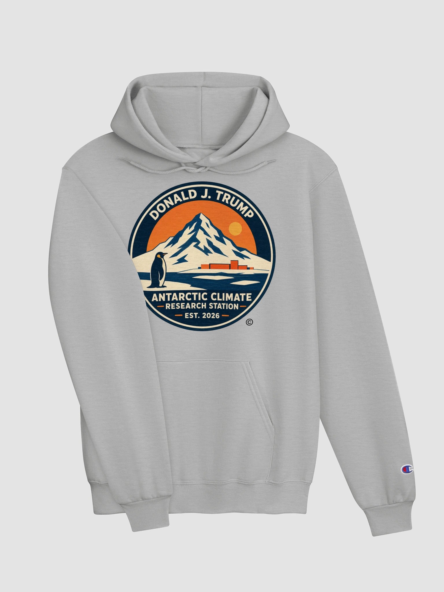 Champion Unisex Hoodie - Donald J. Trump Antarctic Climate Research Station product image (3)