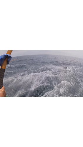 Uno a uno…
Así son todas las paradas que hacemos diariamente para embarcar el bonito del norte

Calada, picada, crocada ta ma...