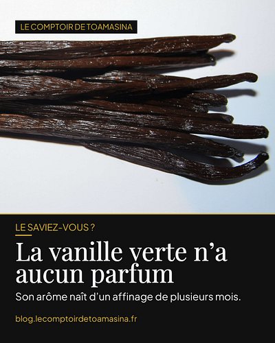 Le saviez-vous ? 🌿 Une gousse de vanille fraîchement cueillie est verte et totalement inodore. Tout son parfum naît APRÈS la ...
