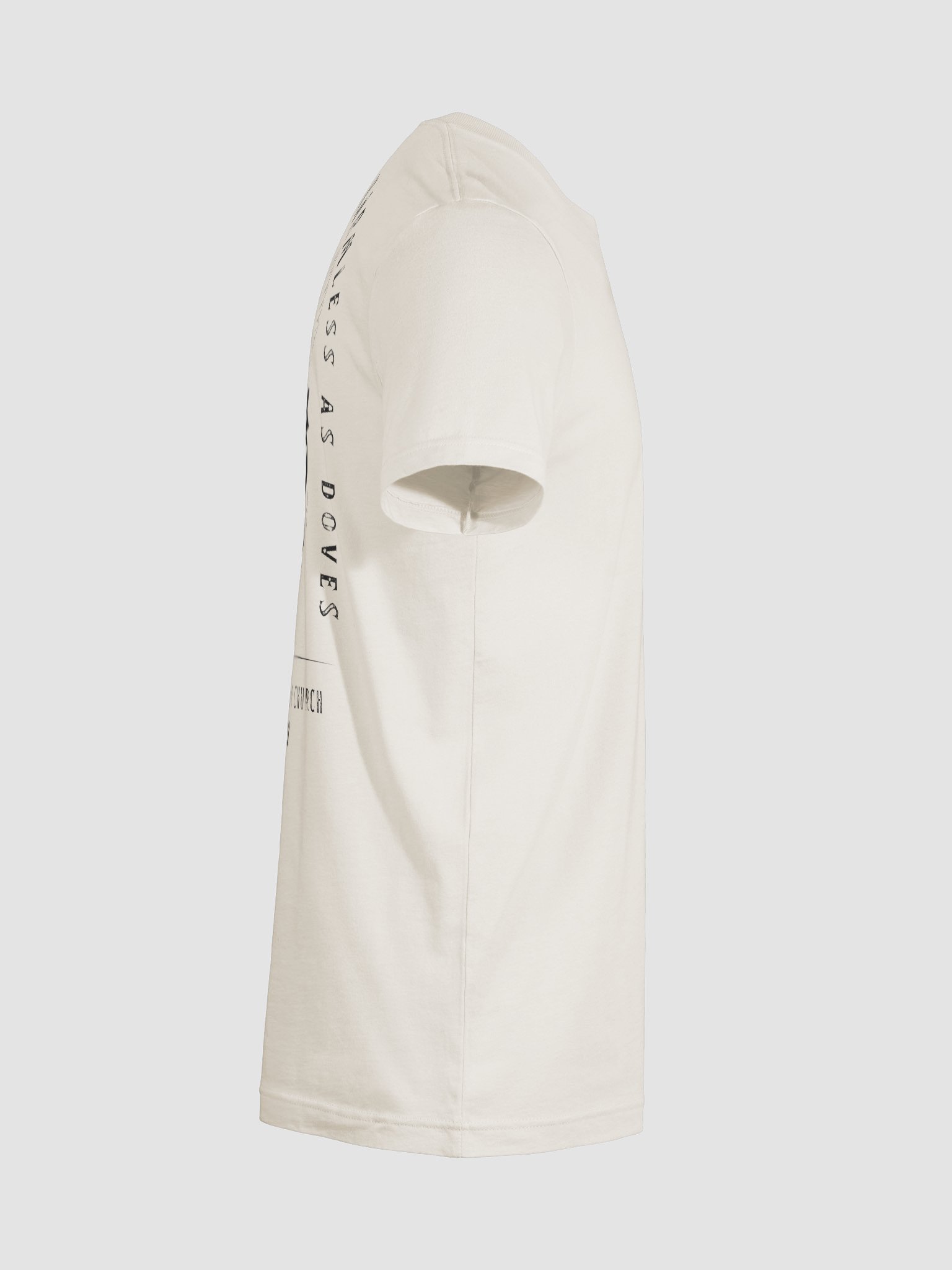 Wise As Serpents Harmless As Doves Tee product image (7)
