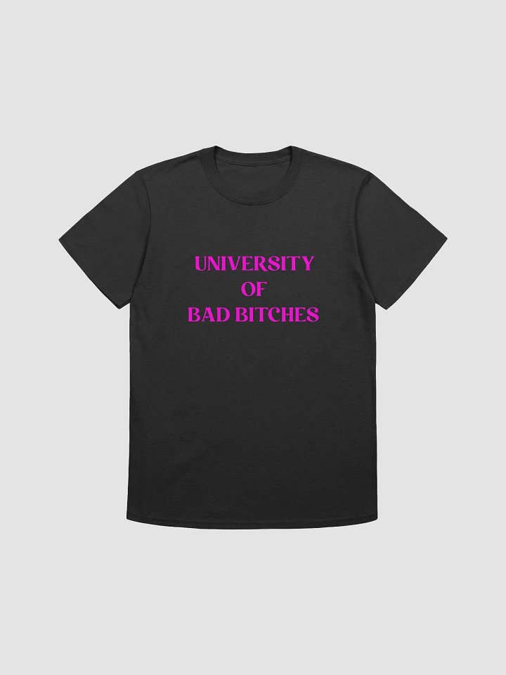 UNIVERSITY OF BAD BITCHES(PINK PRINT) product image (1)