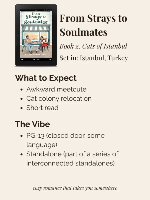 From Strays to Soulmates product image (4)