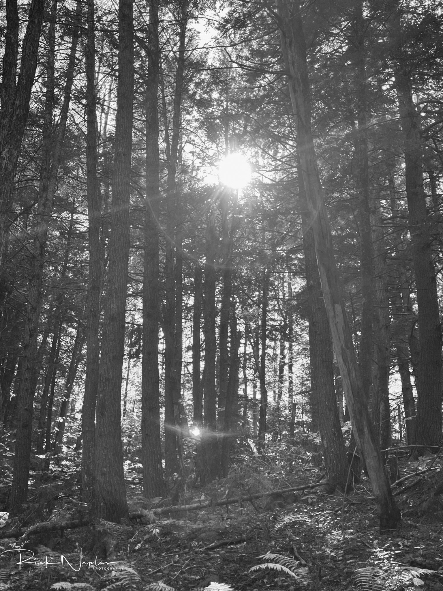 BLACK AND WHITE PHOTOGRAPHY product image (6)