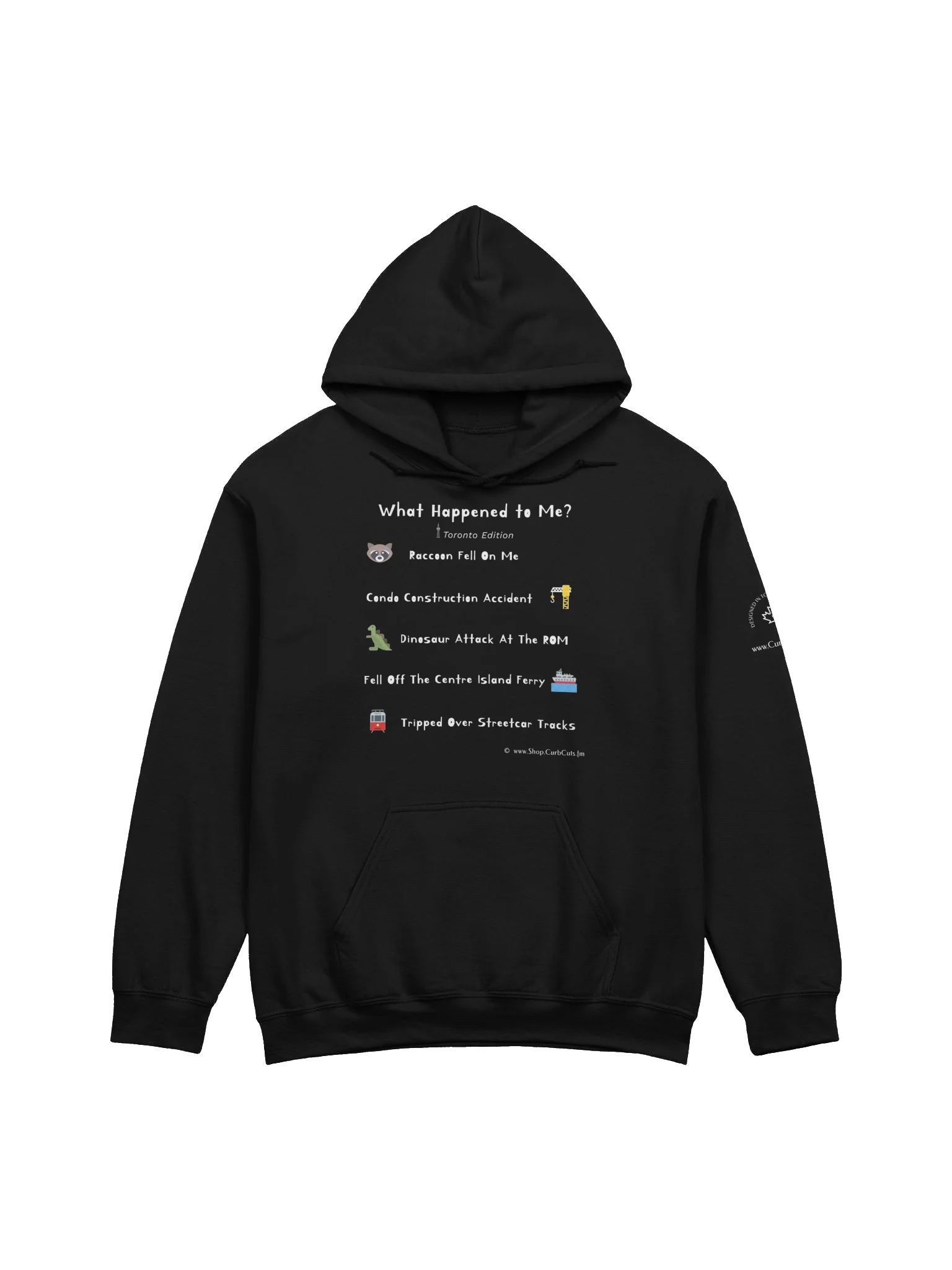 WHAT HAPPENED TO ME ? (Toronto Edition): Hoodie product image (5)