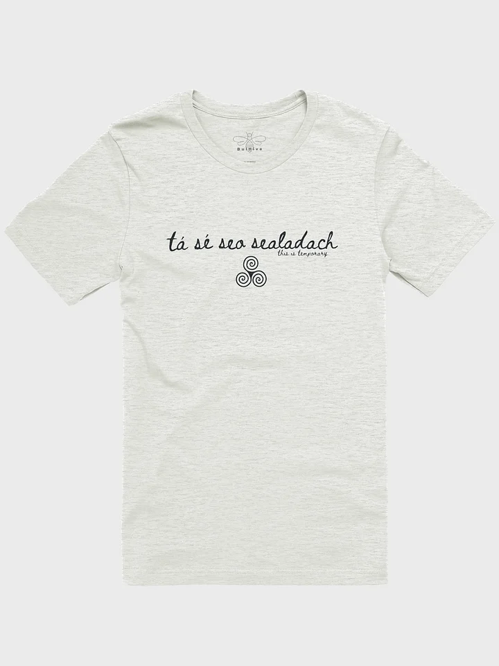 Tá Sé Seo Sealadach (This is Temporary) T-shirt Light Colors product image (1)