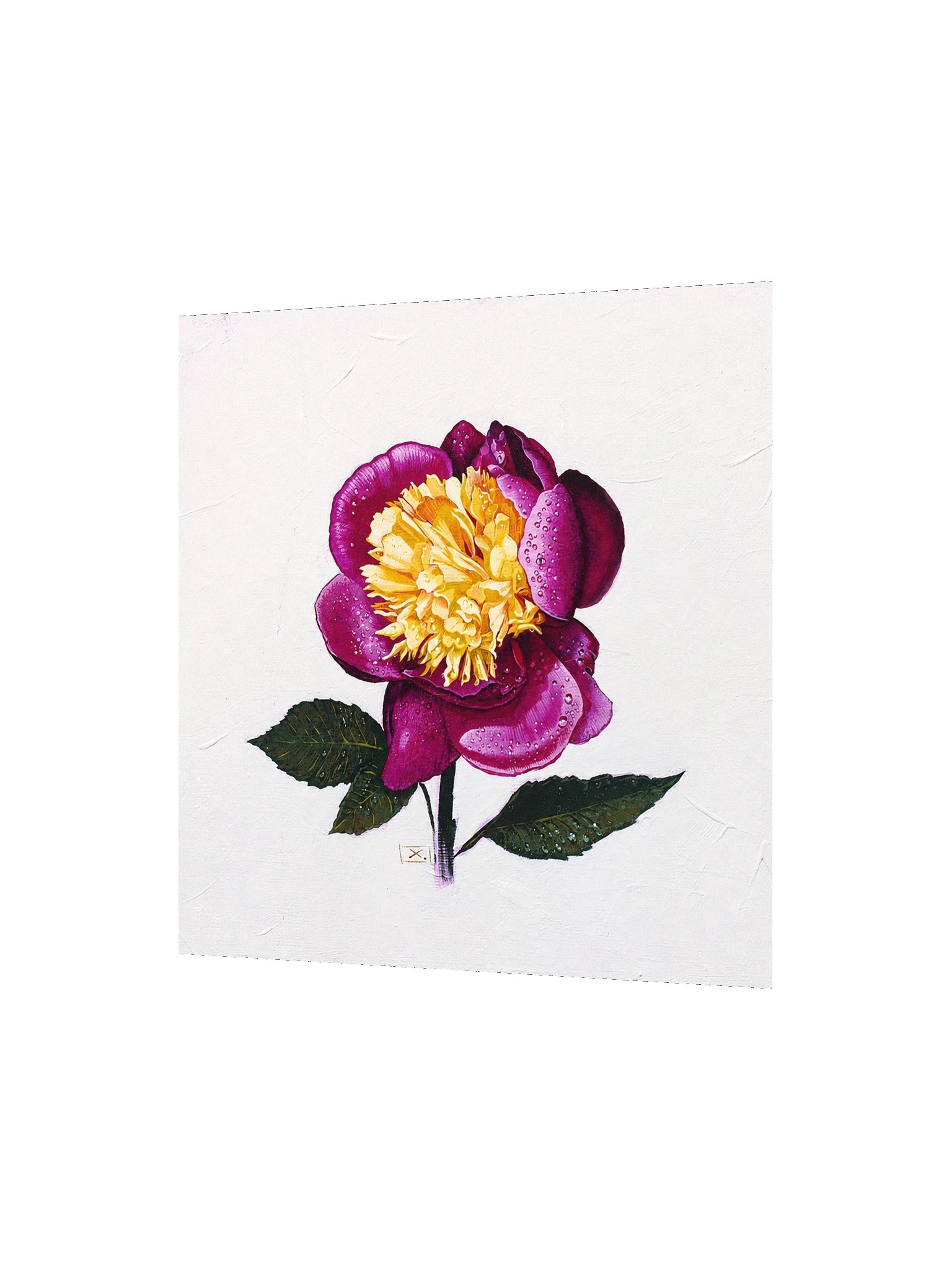 Peony After the Rain product image (2)