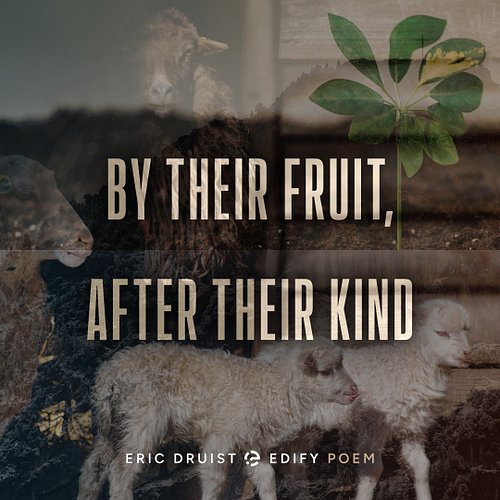 By Their Fruit, After Their Kind

In the beginning when God made man,
He gave him a garden as part of the plan.
There were tr...