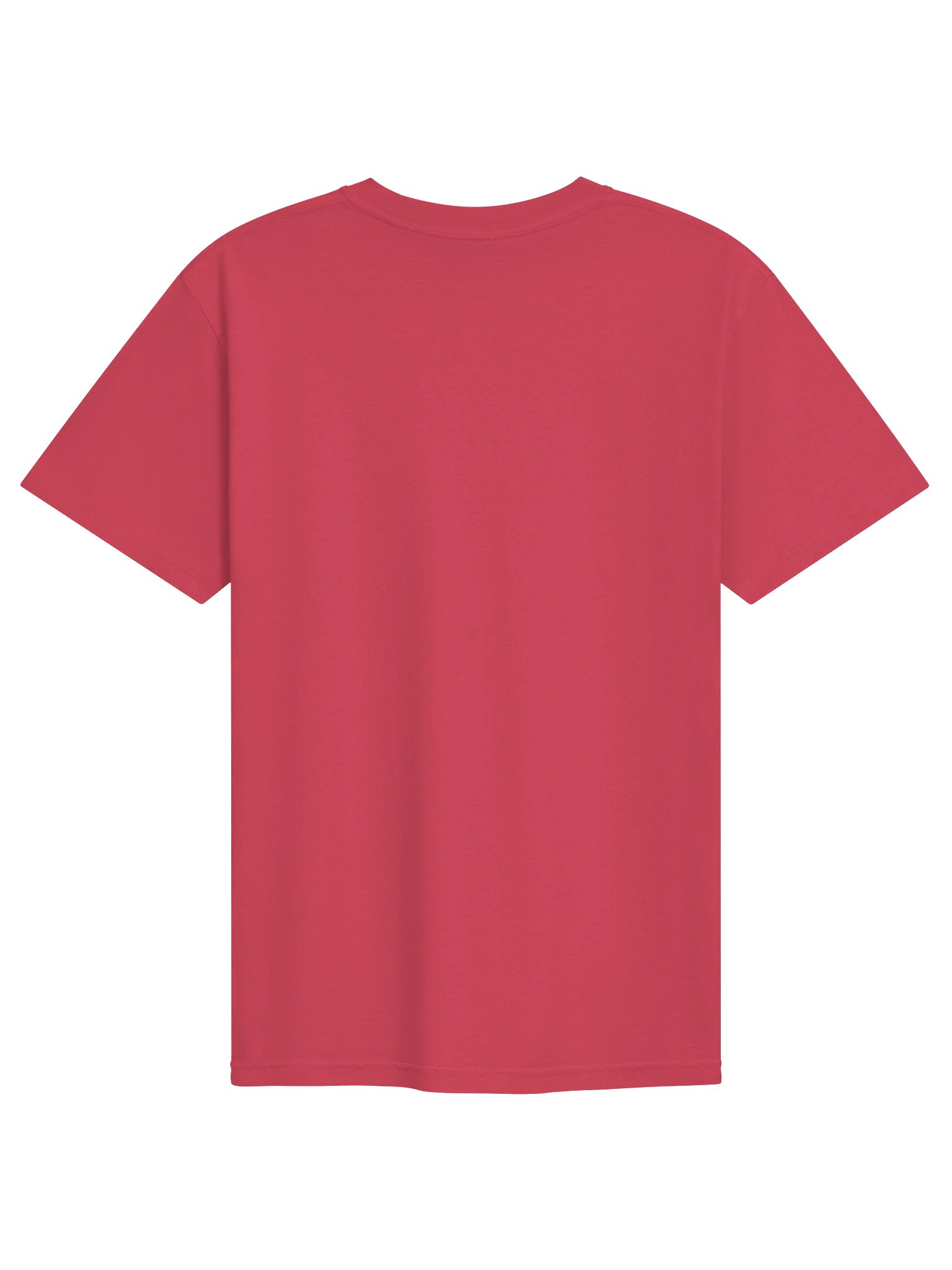 Sloppy T product image (50)