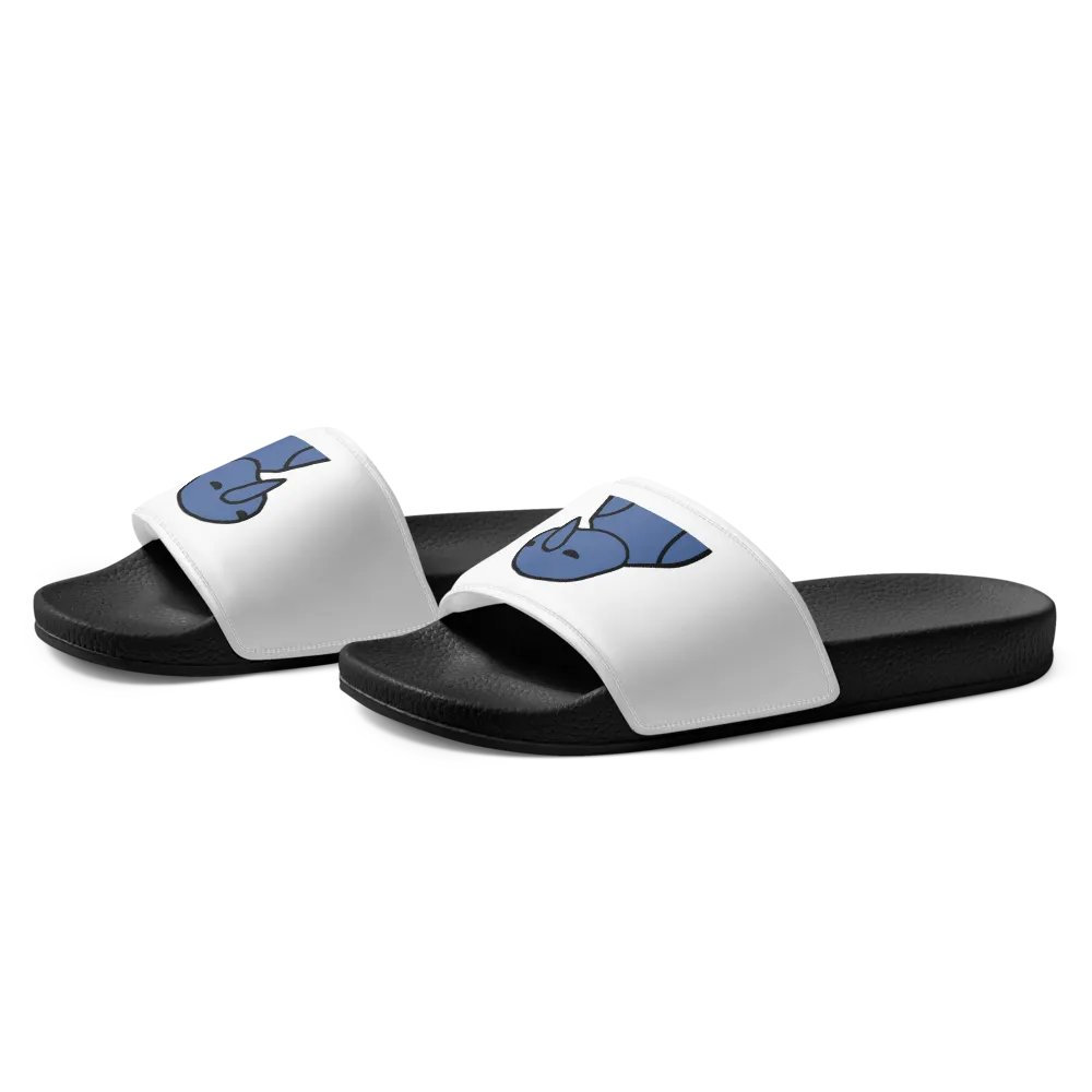 Ski Slides product image (2)