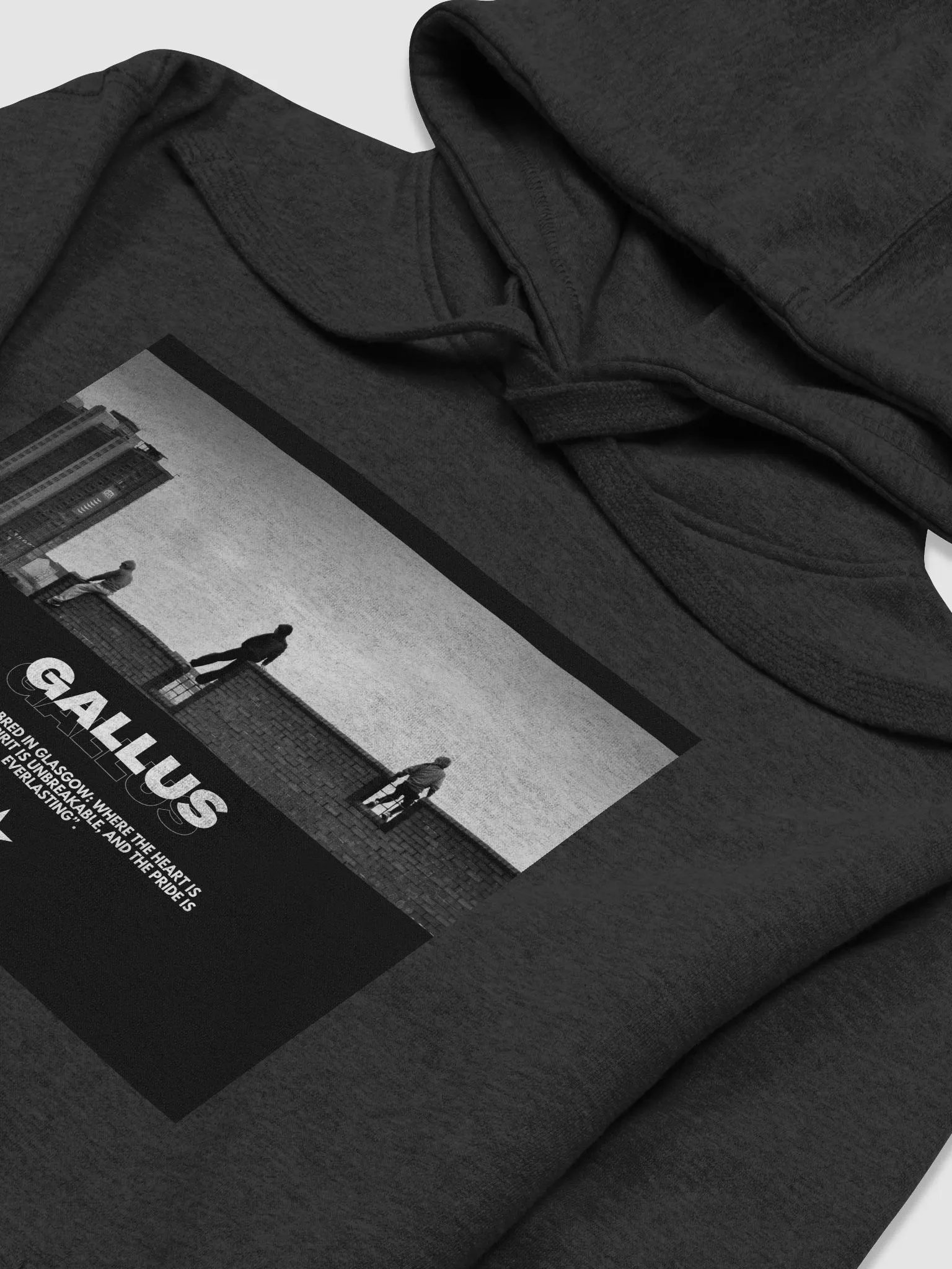 Gallus Hoodies product image (3)