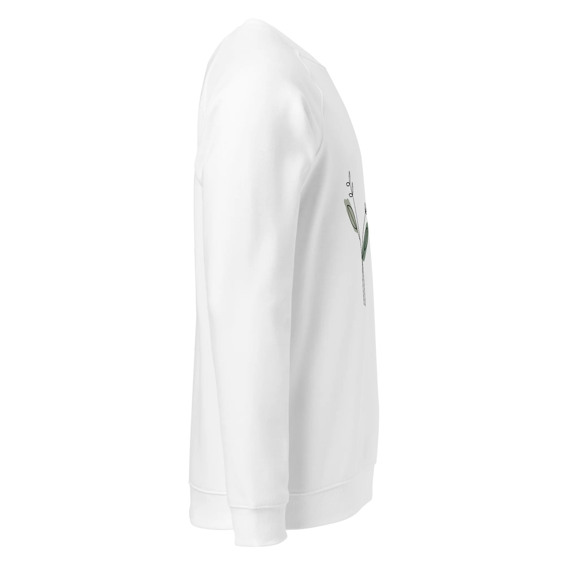 Women's Organic Raglan Sweatshirt ORFB0134 product image (3)